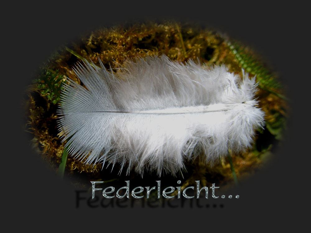 federleicht