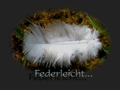 federleicht