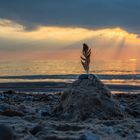 federleichte Kunst am Strand