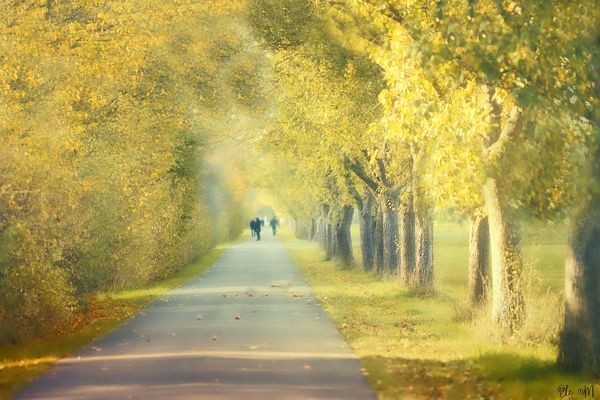 Federleichter Herbst