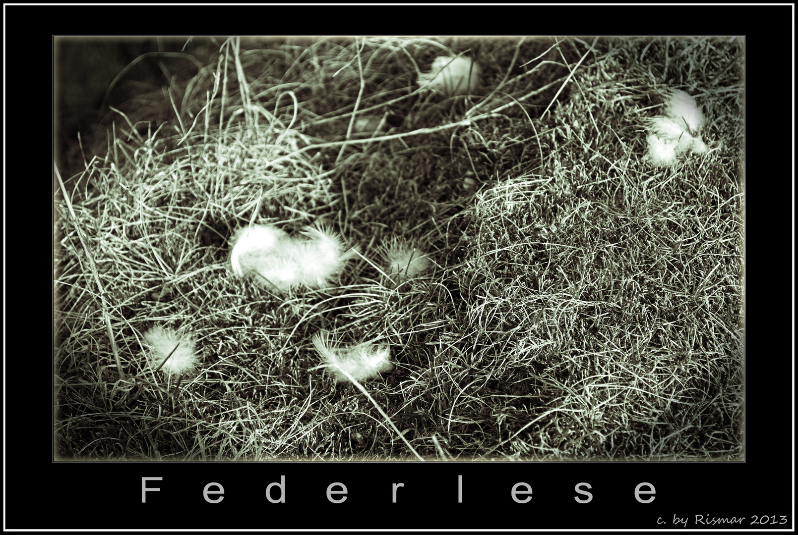 Federlese