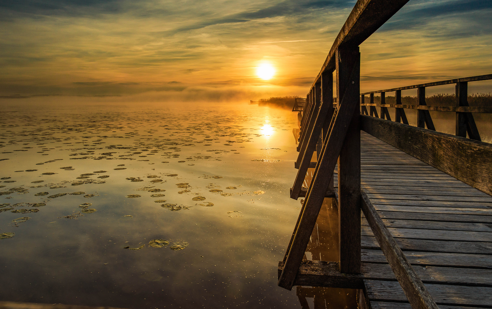 Federsee