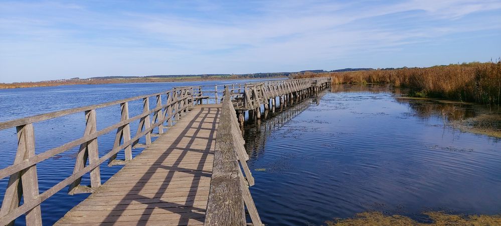 Federsee 