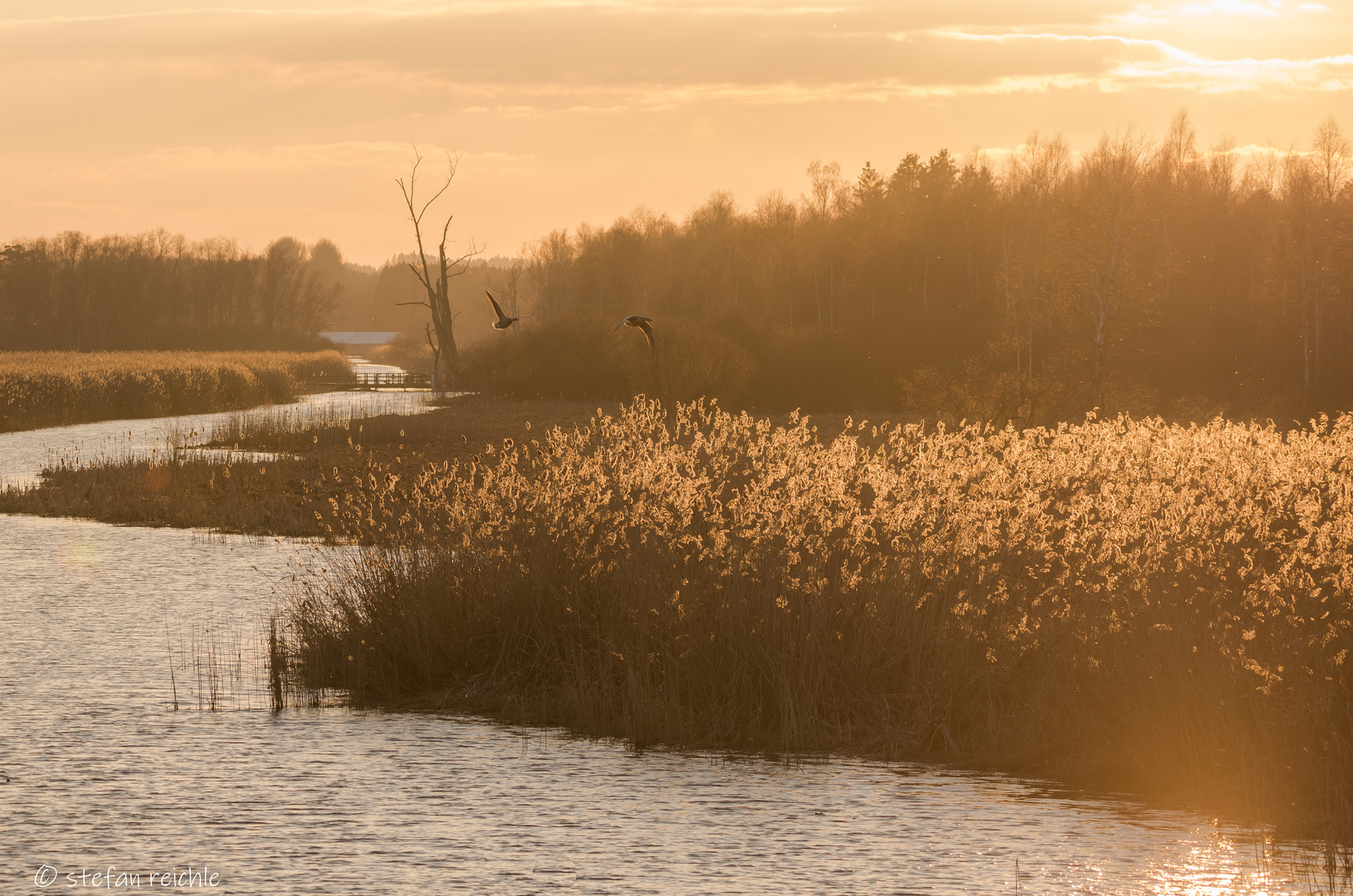 ** Federsee ** 