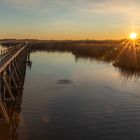 Federsee