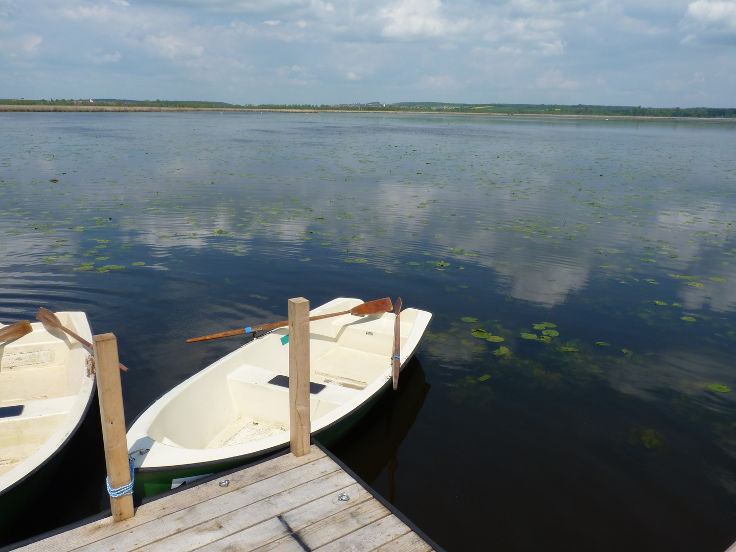 Federsee