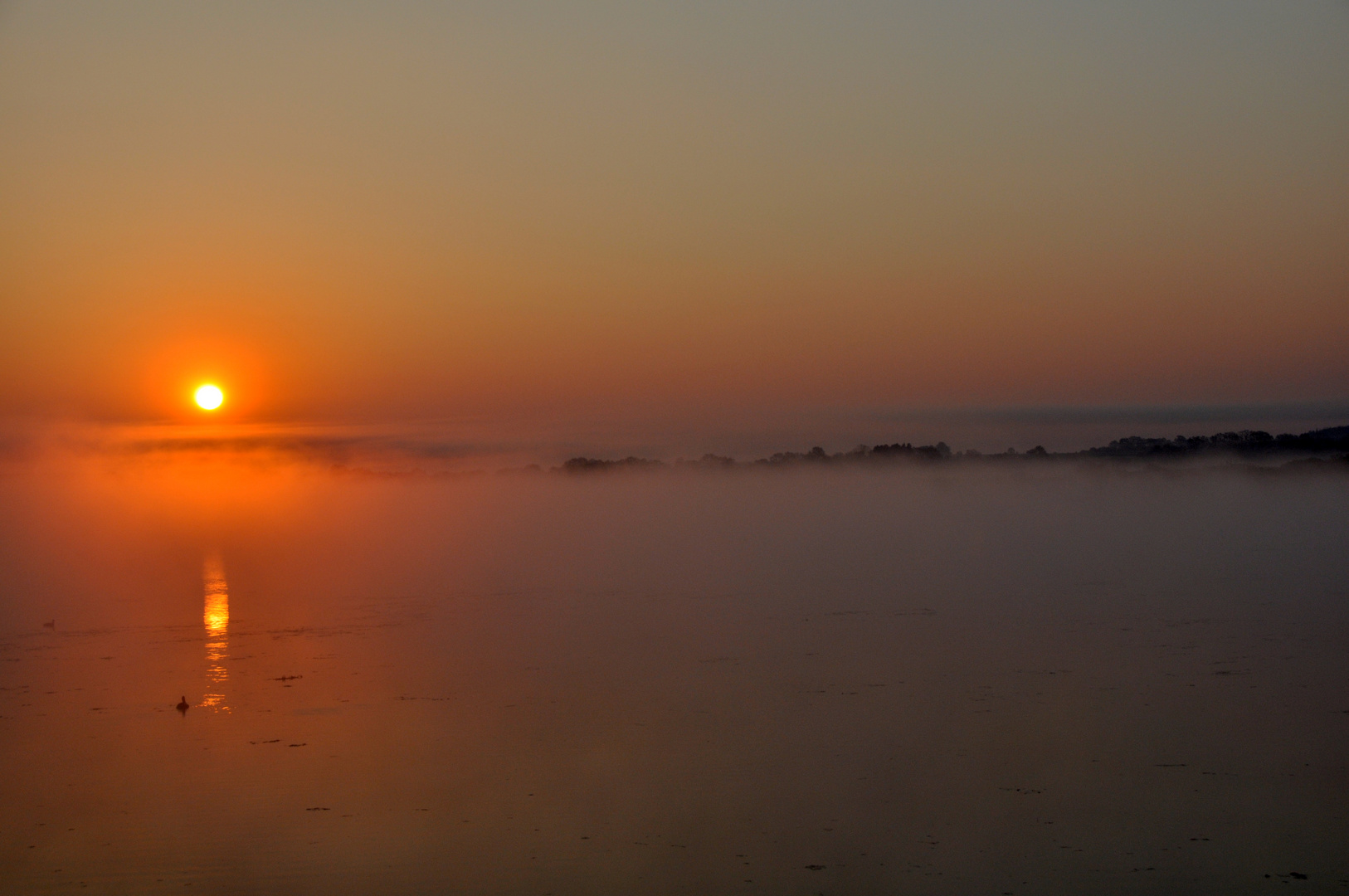 Federsee