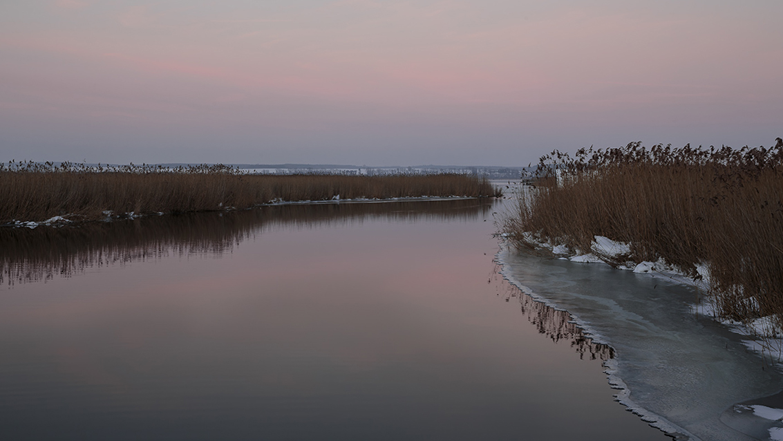 *Federsee