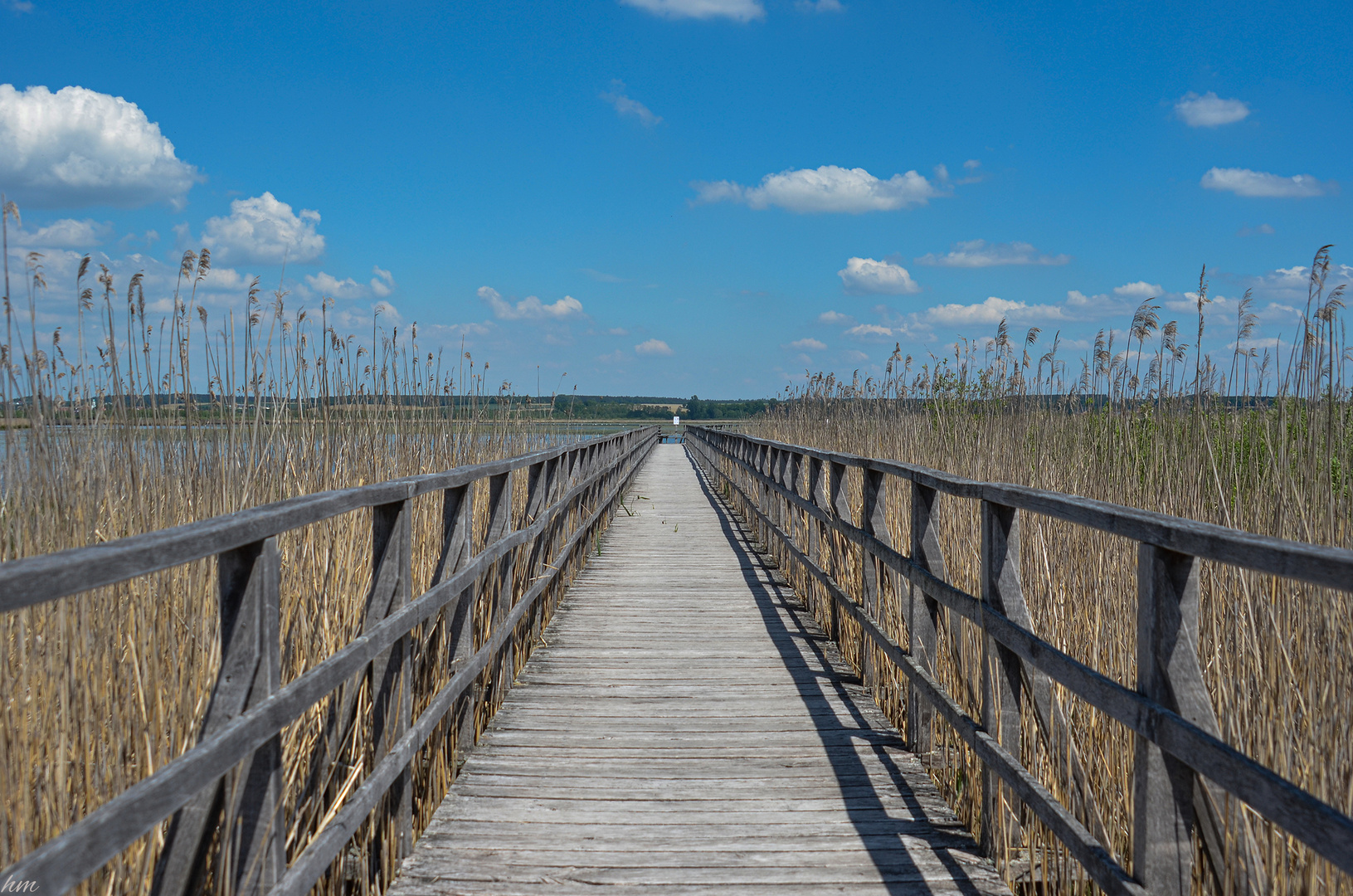 Federsee