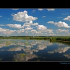 Federsee