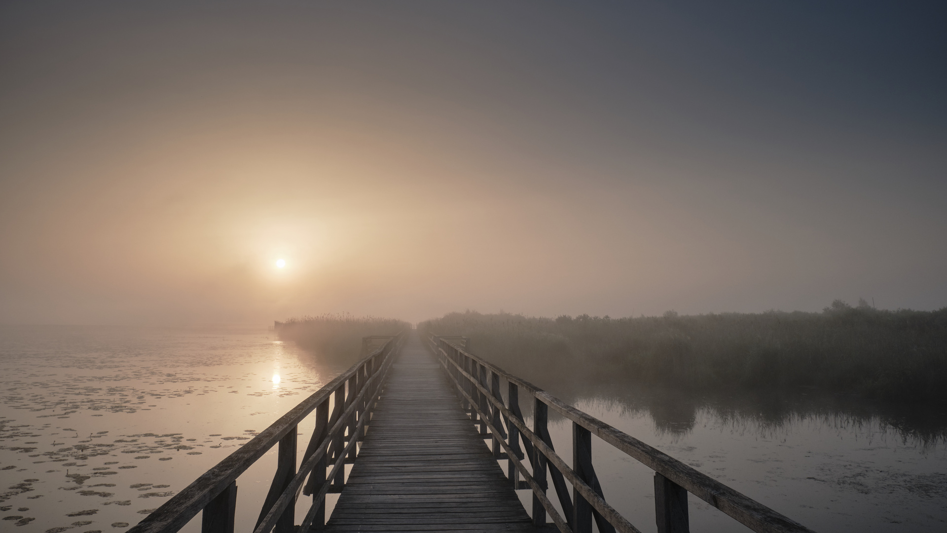 Federsee