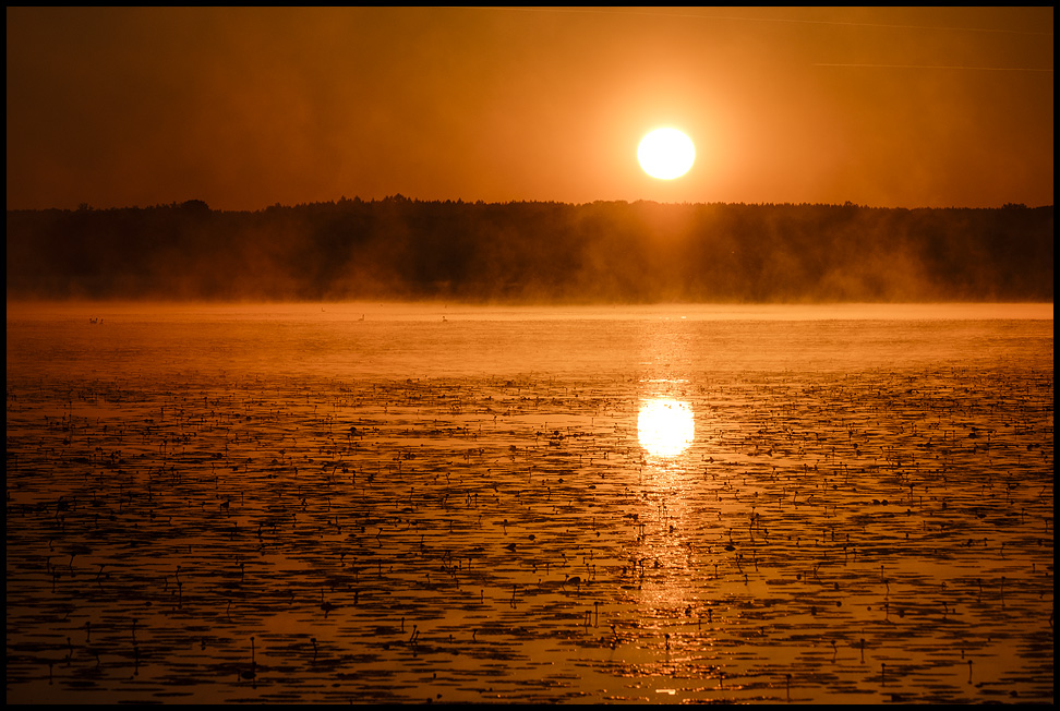 Federsee