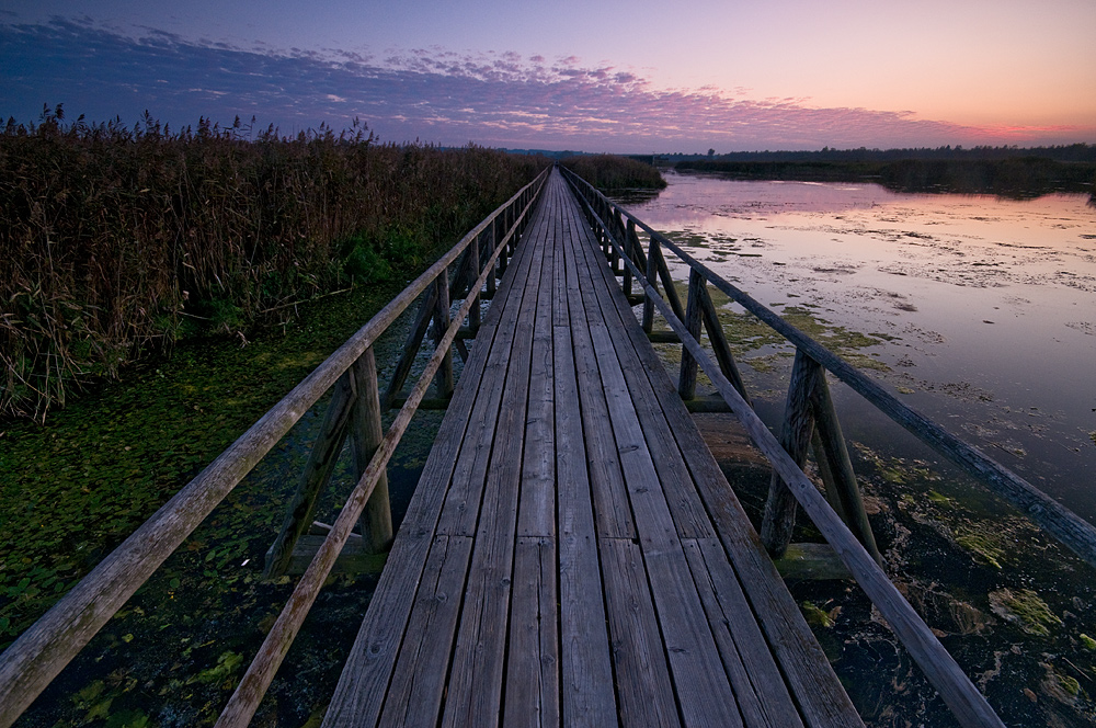 Federsee