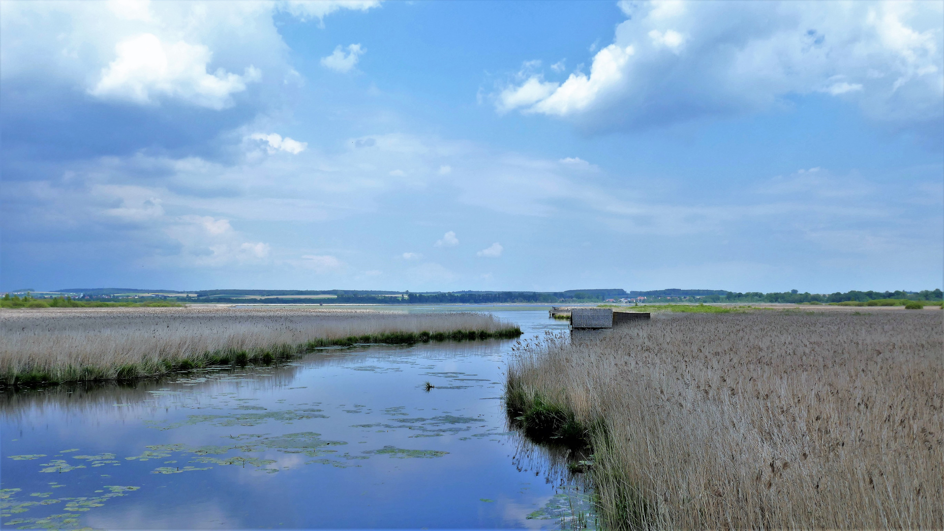 Federsee