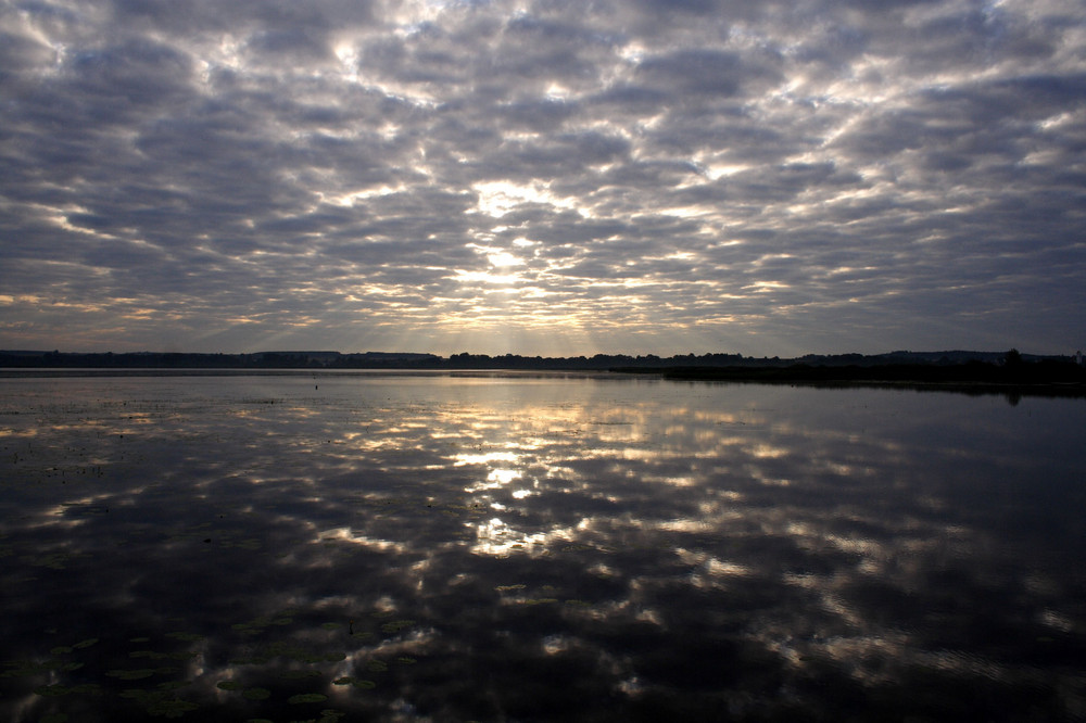 Federsee am Morgen