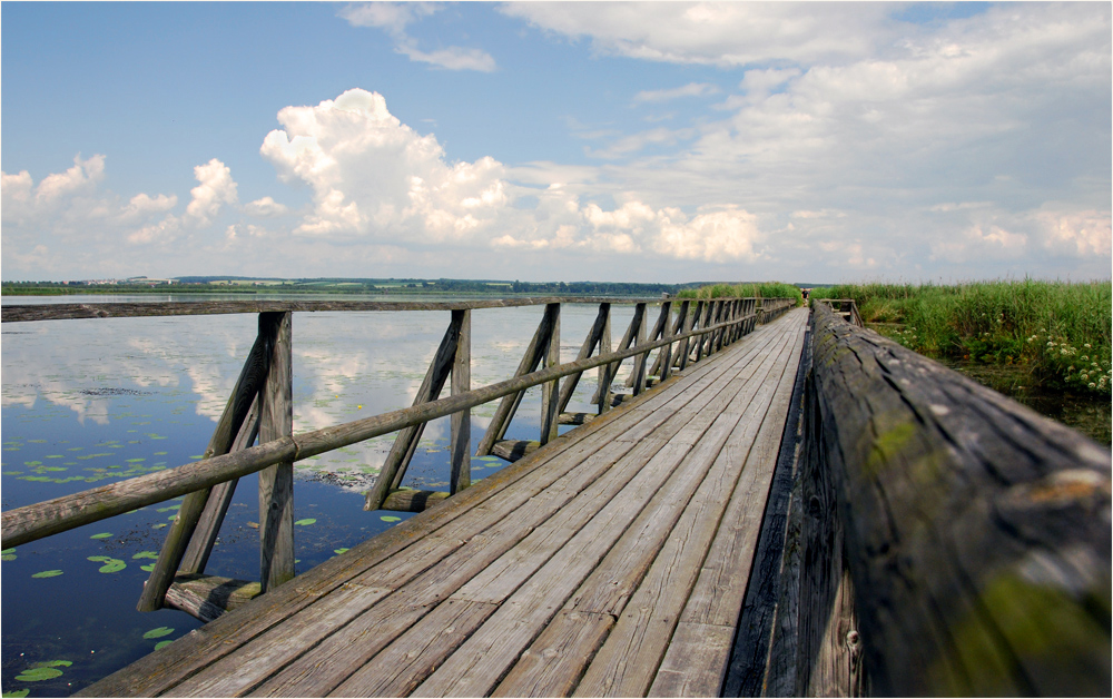 Federsee