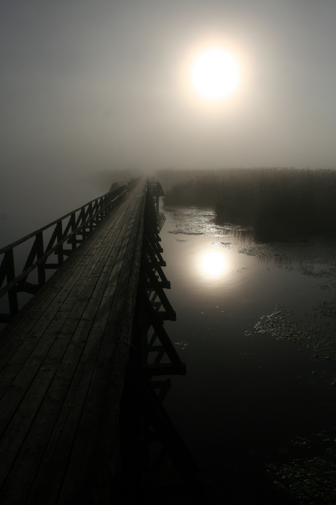 Federsee