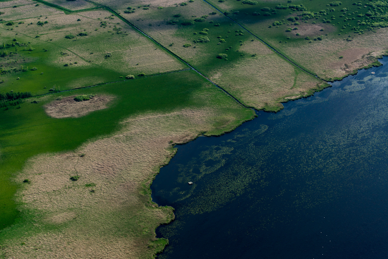 Federsee