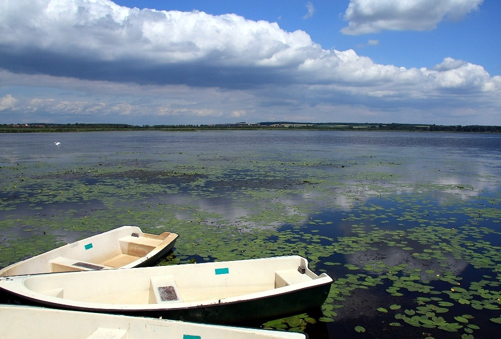 Federsee-Bad Buchau