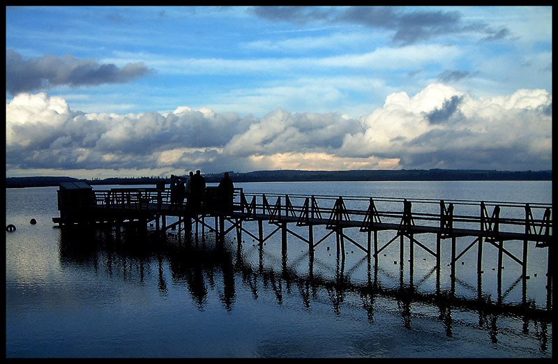 Federsee