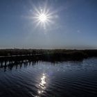 Federsee bei Sonne und Herbst