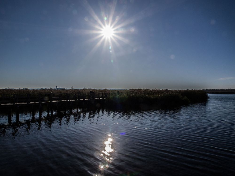 Federsee bei Sonne und Herbst