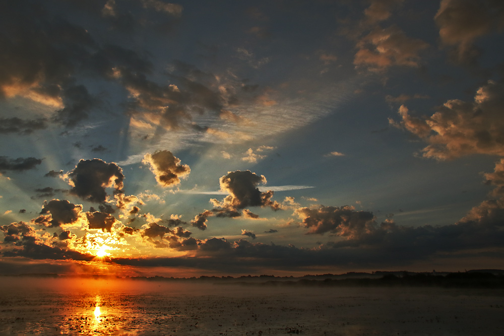 Federsee bei Sonnenaufgang