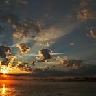 Federsee bei Sonnenaufgang