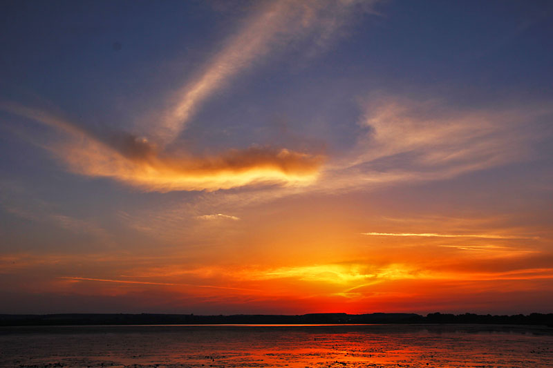 Federsee bei Sonnenaufgang