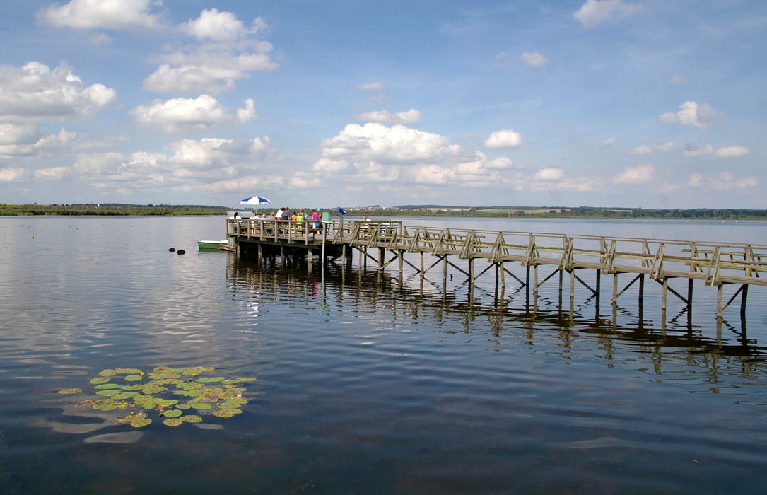 Federsee - Besucherplattform