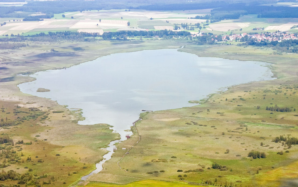 Federsee