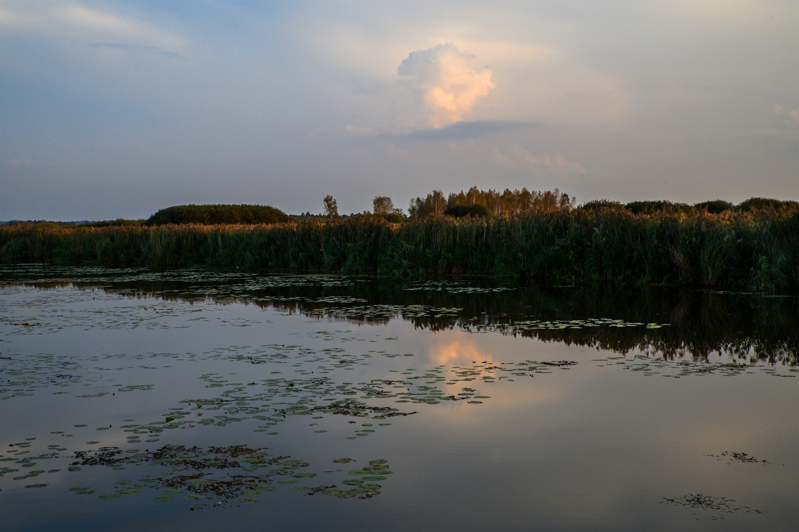 Federsee