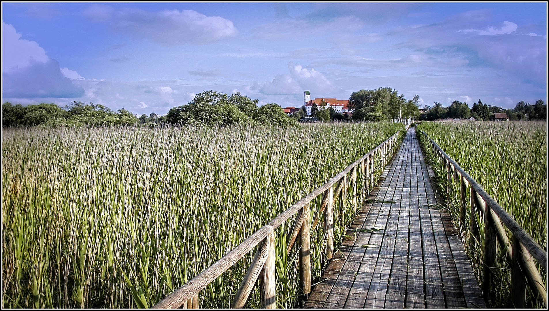 federsee - der steg nach bad buchau