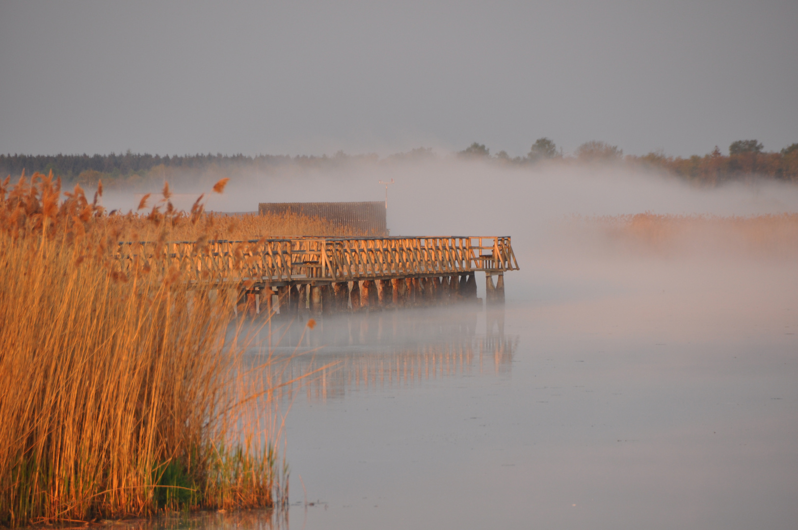 Federsee