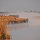 Federsee