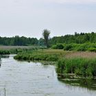 Federsee einer der Zu od. Abflüsse