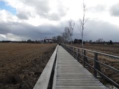 federsee -herbst