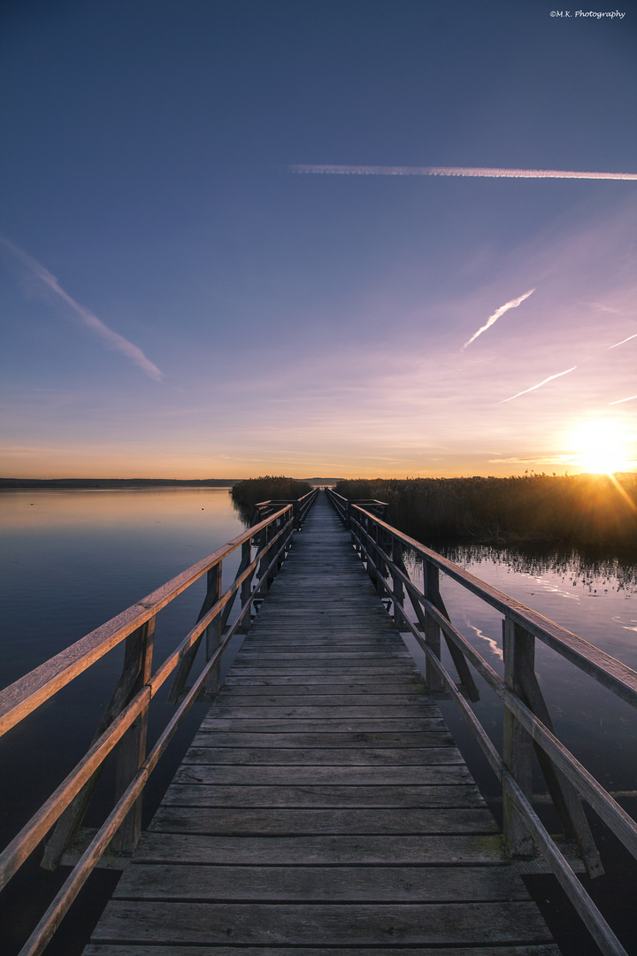 Federsee im Morgengrauen