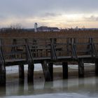 Federsee im Winterschlaf