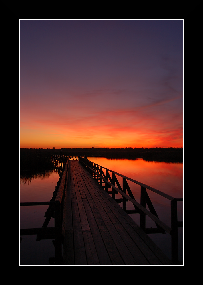 Federsee - Impression am Abend