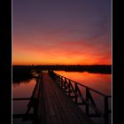 Federsee - Impression am Abend