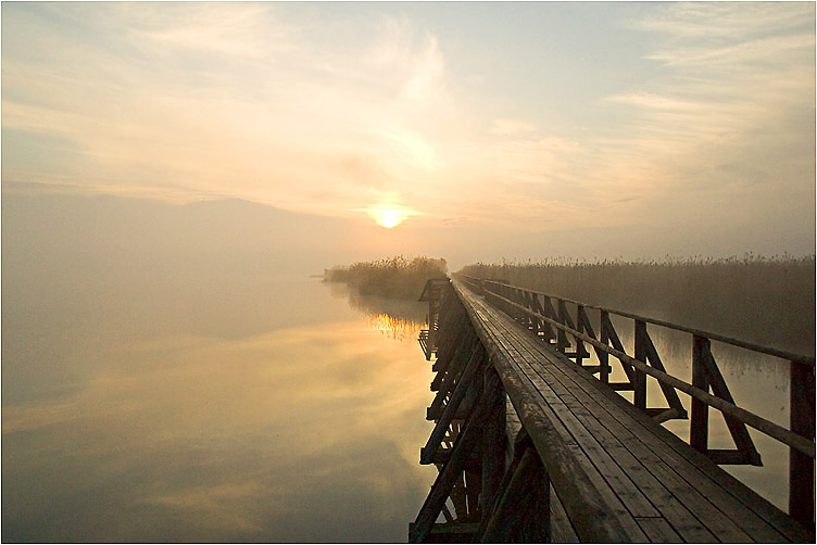 Federsee-Impression..........das Original