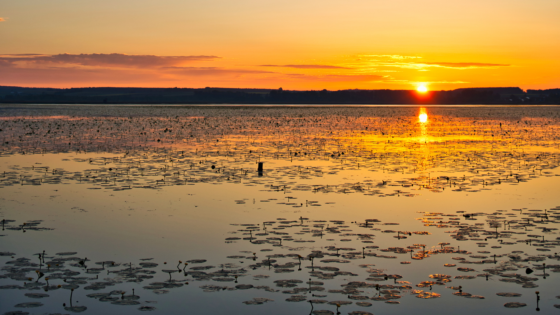 Federsee in der Morgendämmerung