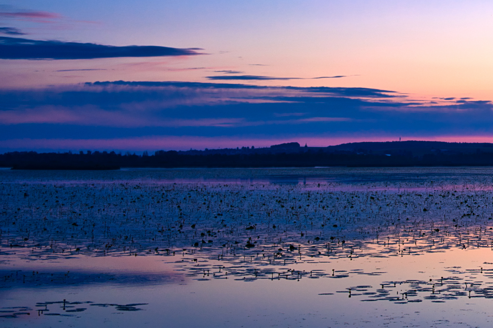 Federsee in der Morgendämmerung