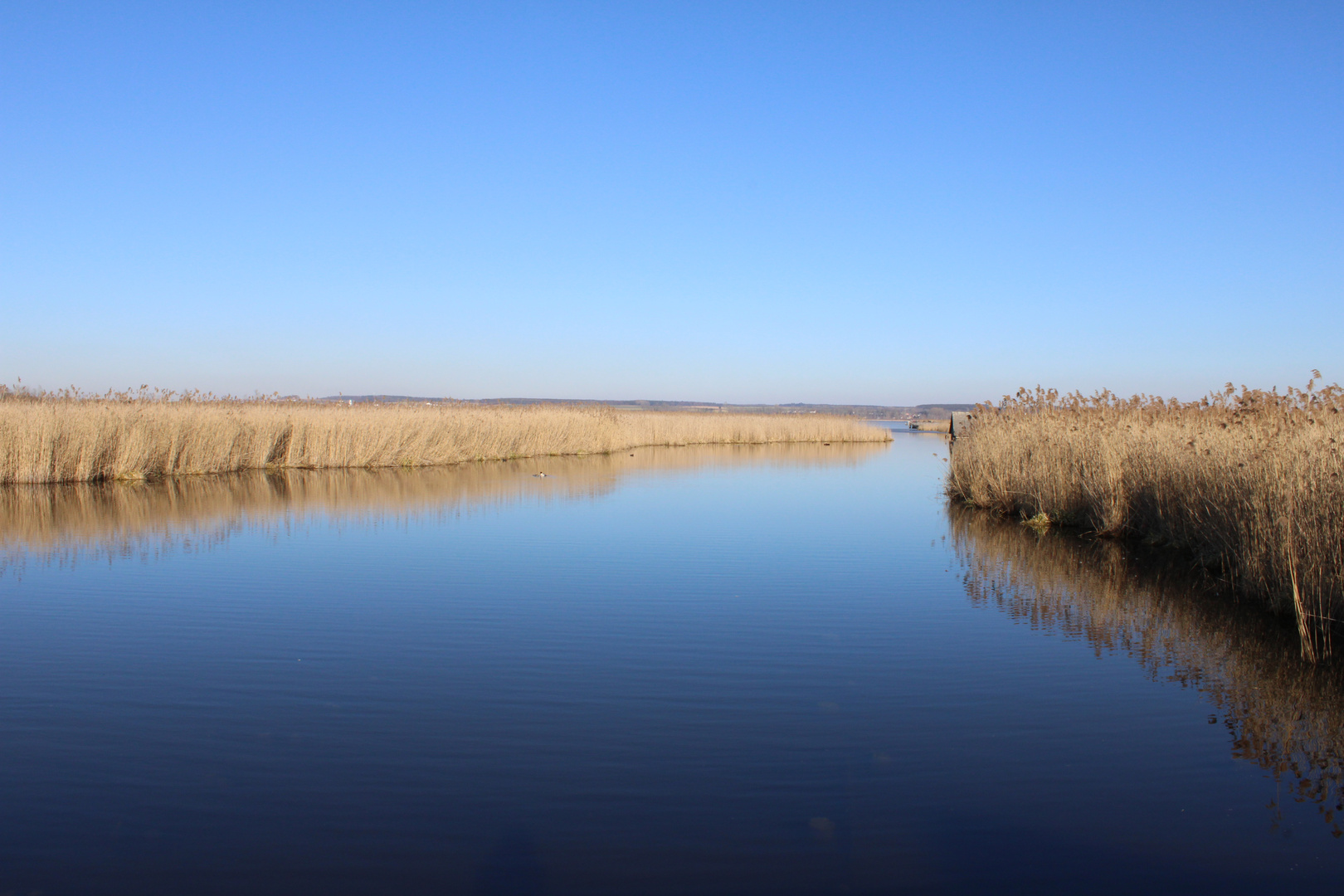 Federsee in Oberschwaben