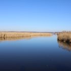 Federsee in Oberschwaben