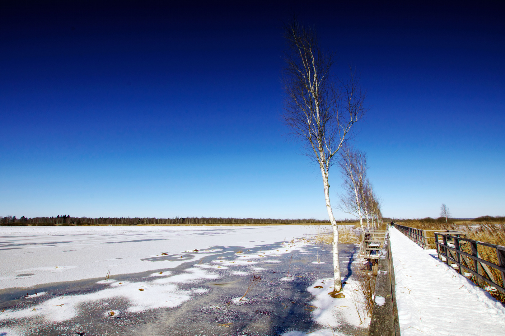 Federsee mal anders