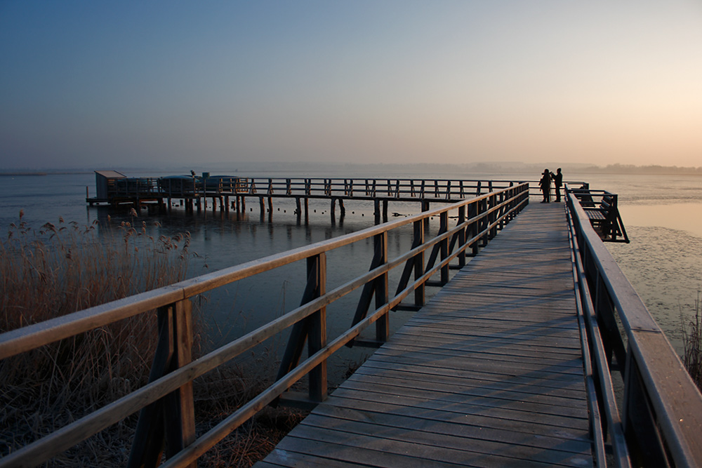 Federsee mit Raureif-Impression