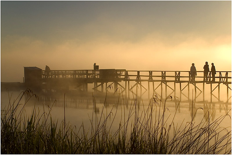 Federsee-----Morgenimpression