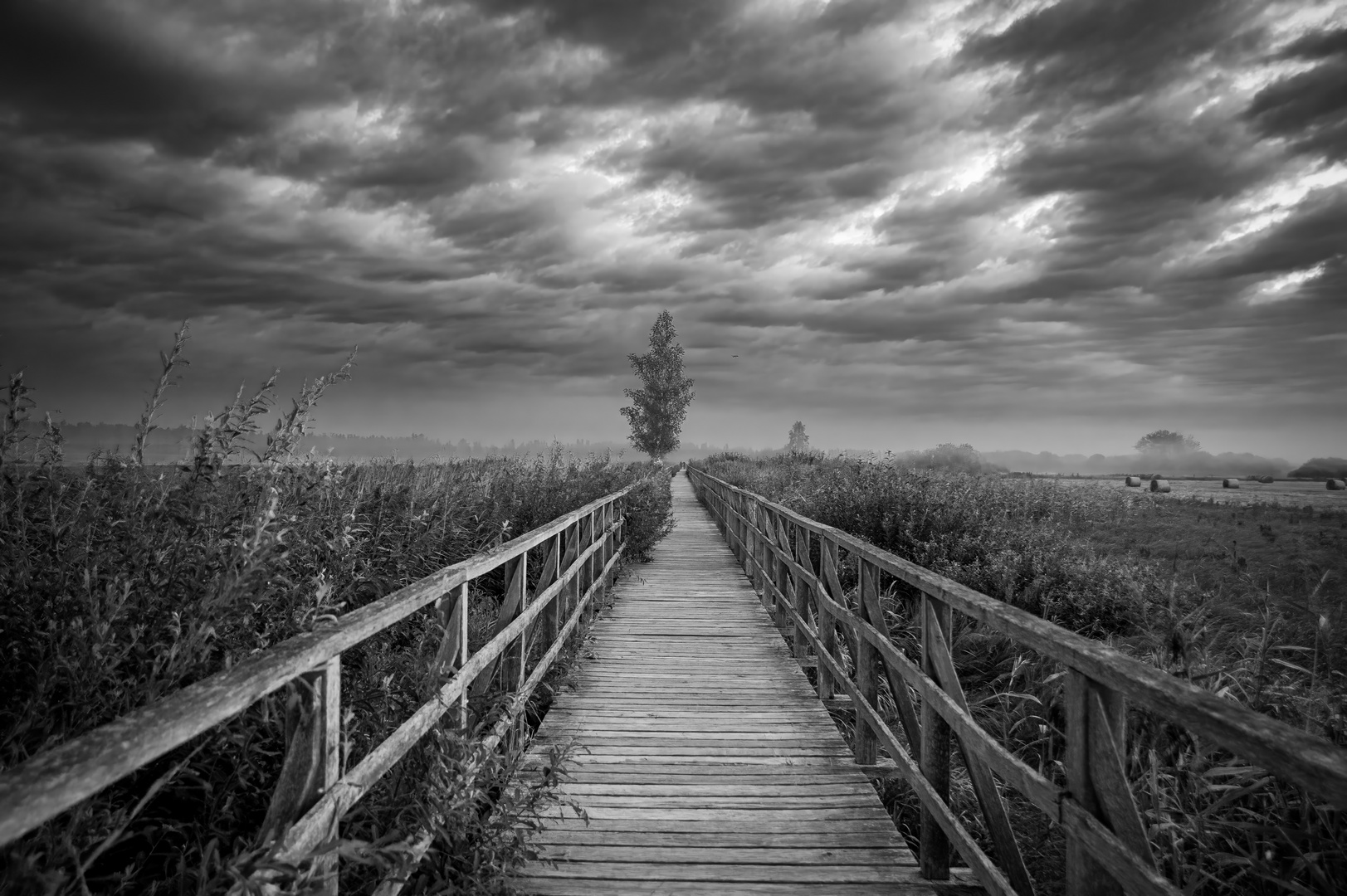 Federsee Steg, Bad Buchau